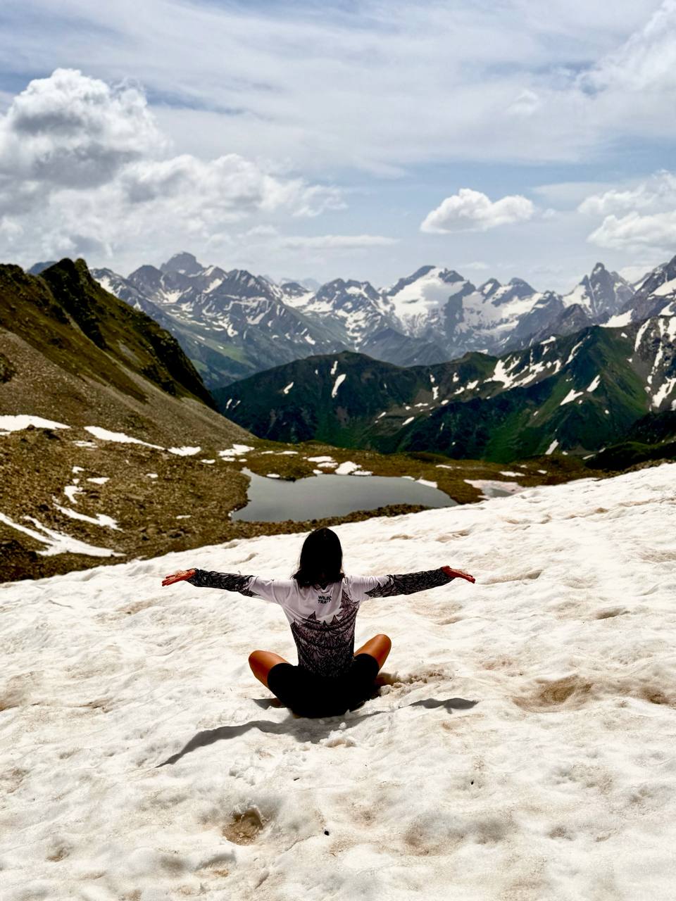 Описание изображения